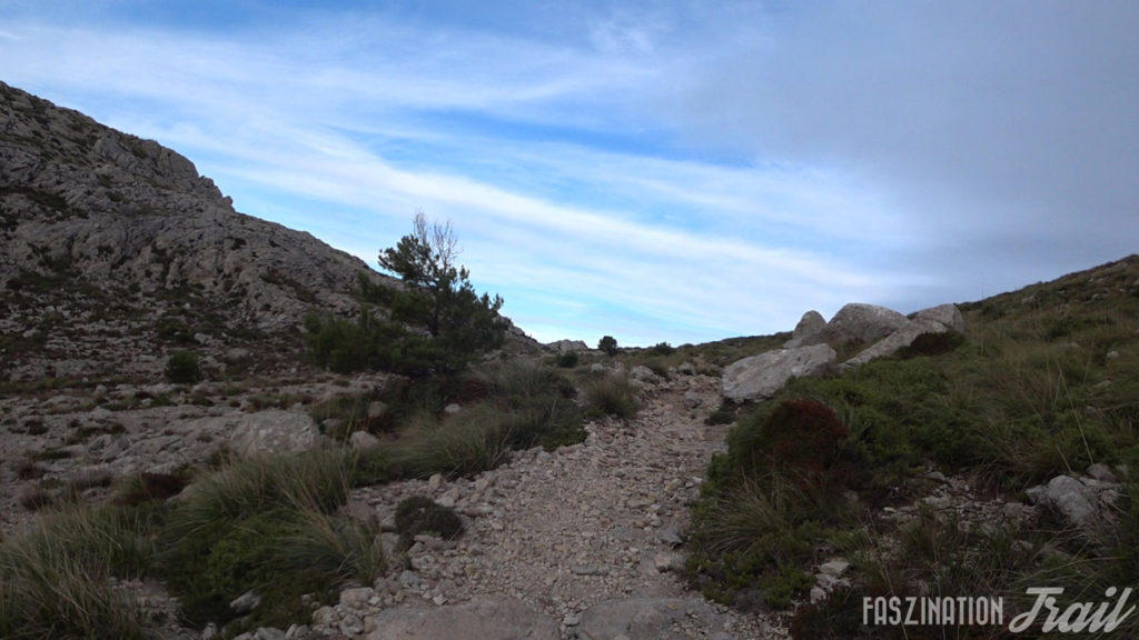 Tramuntana Travessa 2018 Coll des Prat de Massanella