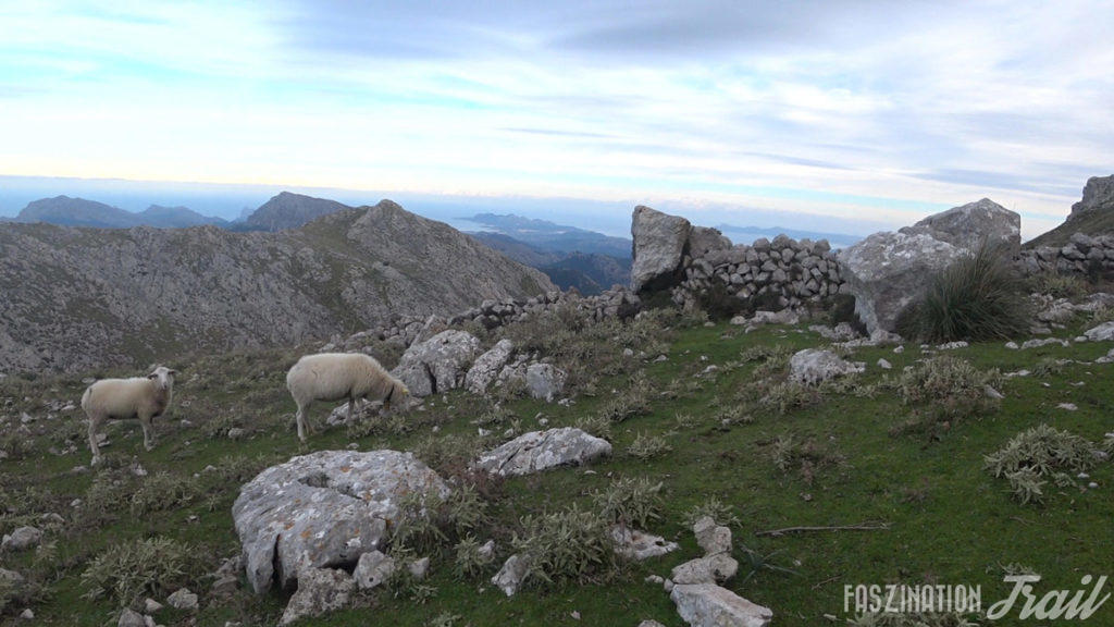 Tramuntana Travessa 2018 Coll des Prat de Massanella
