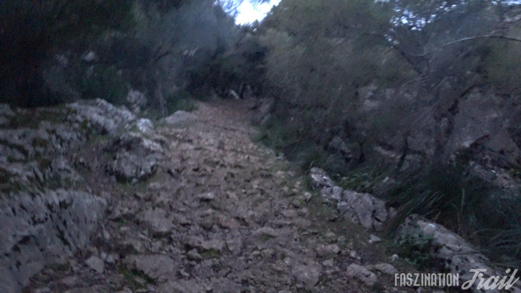 Tramuntana Travessa 2018 Lluc