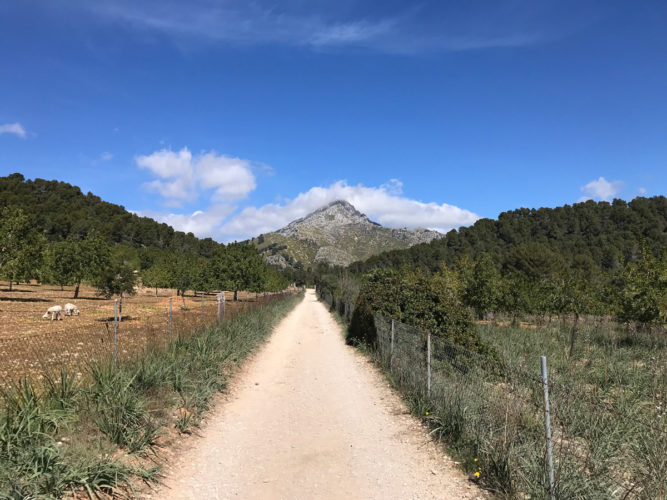Puig de Galatzó