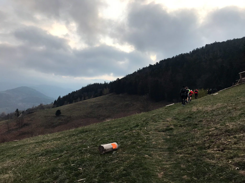 Thur-Trail 2019