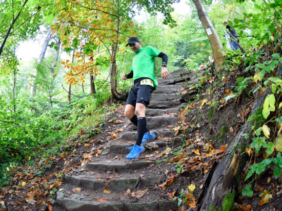GELITA Trail Marathon Heidelberg