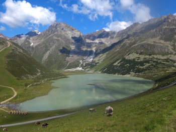 Pitz Alpine 2018 Rifflseehütte