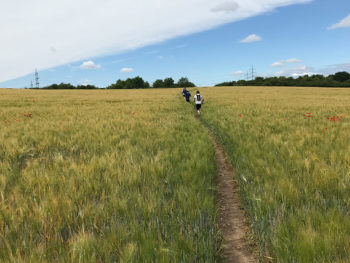 Hartfüßlers FKT